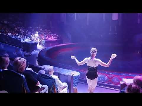 Видео: ВСТУПЛЕНИЕ И "ПОЛЁТ ДЛЯ ДВОИХ", ШОУ "5 КОНТИНЕНТОВ" ГИИ ЭРАДЗЕ, САРАТОВСКИЙ ЦИРК 