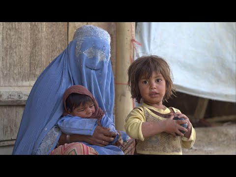 Видео: Два года Талибана, Афганистан сегодня