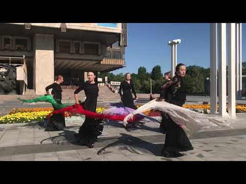 Видео: Фантазия с шалью. Фламенко. Flamenco