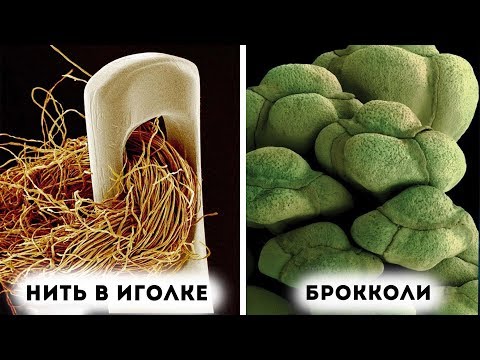 Видео: Макрофото повседневных вещей