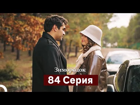 Видео: Зимородок 84 Cерия (Русский дубляж)