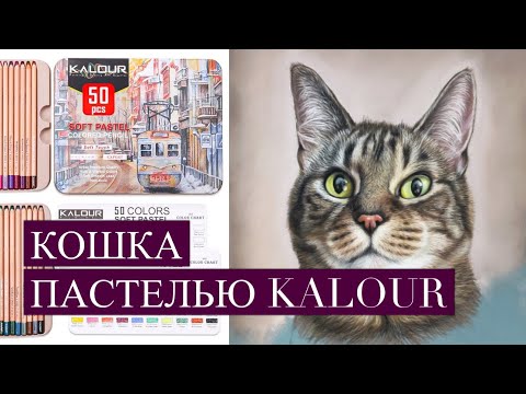 Видео: РИСУЕМ КОТА КАРАНДАШАМИ KALOUR