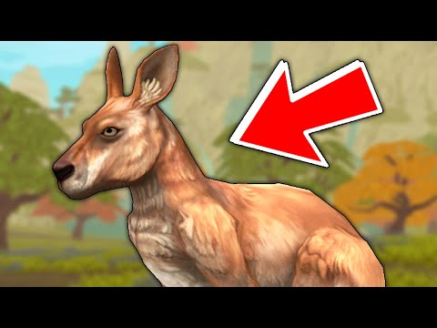 Видео: КЕНГУРУ с НУЛЯ до 200 УРОВНЯ в WILDCRAFT