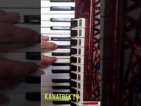 Видео: Аккордеон сабагы #1 #кыргызчаырлар#аккордеон#үйрөн#