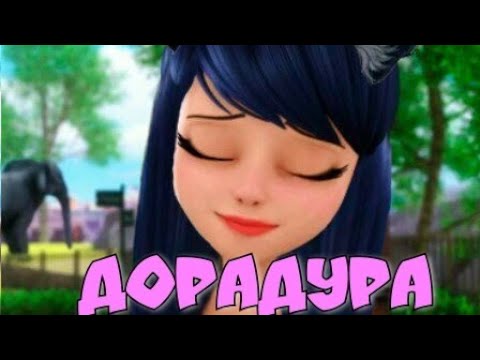 Видео: Клип Леди Баг и Супер Кот - ДораДура