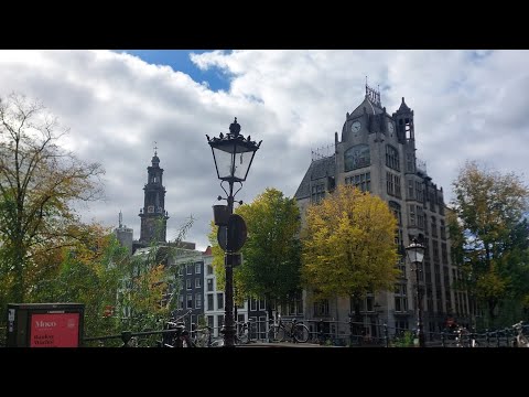 Видео: Амстердам 2025 осень