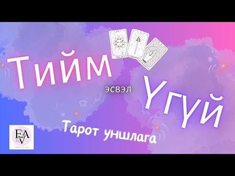 Видео: ТИЙМ / ҮГҮЙ богино хариулт бүхий 🔮 Тарот уншлага 🔮 Aces
