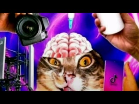 Видео: Кристалл (не моёт) решетка#