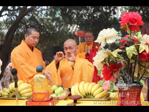Видео: Шаолинь 2015   полный отчет о тренировочном сборе Школы Мастера Ши Янбина