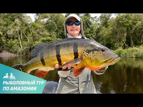 Видео: Рыбалка в Бразилии с Royal Safari