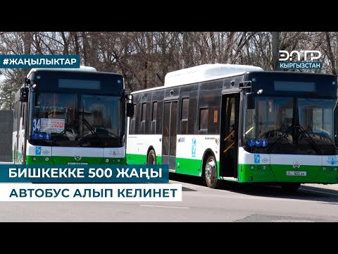 Видео: БИШКЕККЕ 500 ЖАҢЫ АВТОБУС АЛЫП КЕЛИНЕТ