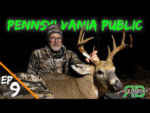 Видео: МОНАРХ Пенсильванских гор упал!