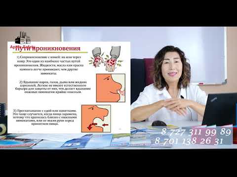 Видео: Безопасная работа с химическими веществами. Промышленная безопасность в РК