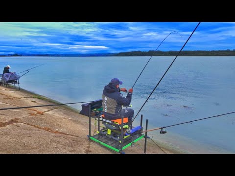 Видео: Рибалка на фідер 🎣 в ЖОВТНІ 🍁 на набережній річки ДУНАЙ 🐟