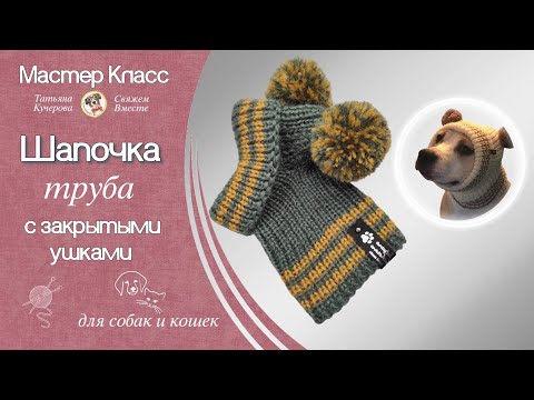 Видео: Шапочка с помпоном для собак, вязание спицами,  hat for dogs