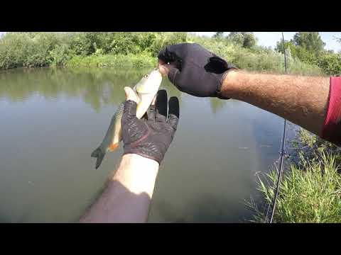 Видео: ГОЛОВЕНЬ-НА-КОЛИВАЛКИ