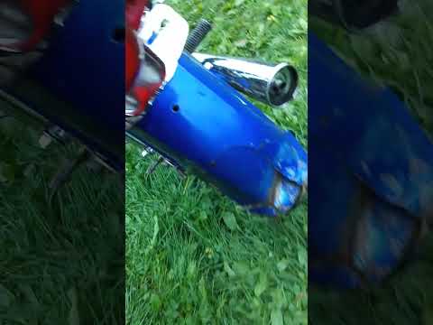 Видео: краткий обзор. хотите больше? 4 лайка!😝 #automobile #alphabet 