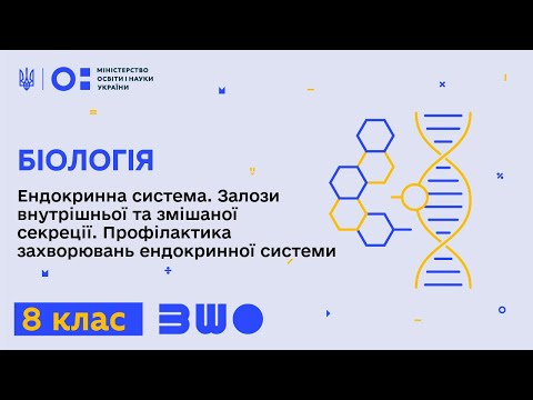 Видео: 8 клас. Біологія. Ендокринна система: залози внутрішньої секреції. Частина 1