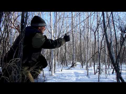 Видео: Как насторожить волчью петлю.