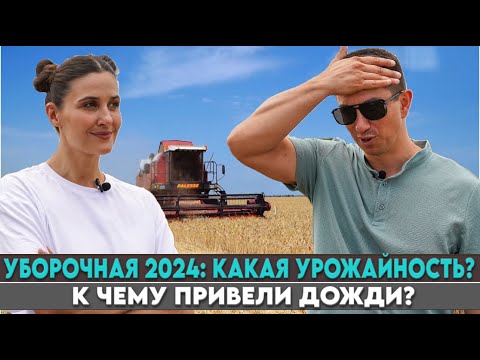 Видео: Итоги по пшенице, ячменю и зимующему гороху. Смотрим всходы пожнивного подсолнечника