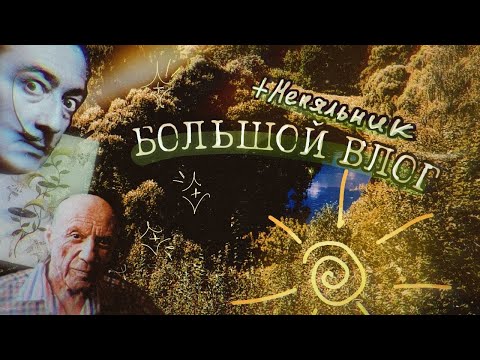 Видео: БОЛЬШОЙ ВЛОГ | Меняльник | Дали & Пикассо | Cofix | VLOG
