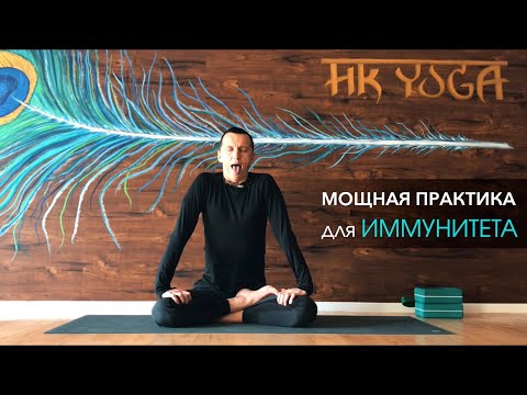 Видео: Симха Крийя - простая, но мощная практика, которая поднимет иммунитет и укрепит легкие