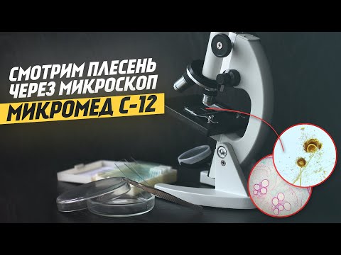 Видео: Оптический микроскоп Микромед С-12 | Кровь и Плесень под микроскопом