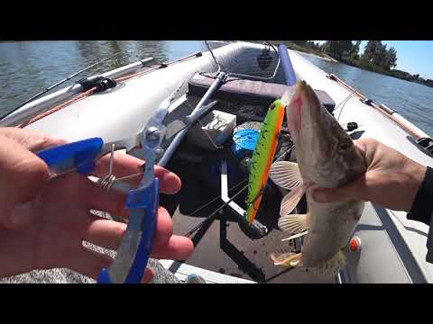 Видео: Ловля Щуки Осенью на спиннинг 2021!!!работал воблер и блесна!Погода супер!