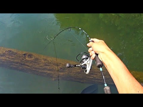 Видео: Вы посмотрите что они делают! Удочка в дугу. Рыбалка на реке 2022.