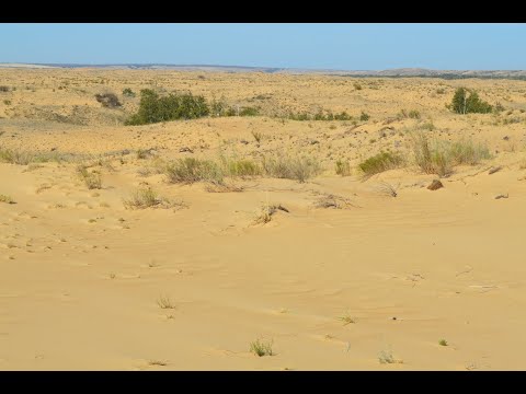 Видео: Hiking Golubinskie Sands Autumn  Голубинские пески осень