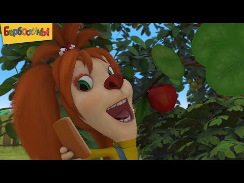 Видео: Барбоскины | Выпуск 16 | Короткий сборник мультиков для детей