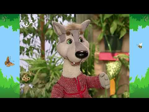 Видео: Утро в Шишкином Лесу. Зимний сад. Цветок для тётушки Матильды