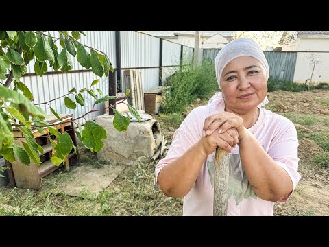Видео: Влог. Мына әйел бәрін жасайды екен.Шарбақты бір өзі қалай тазалады мына әйел. Гүлеке