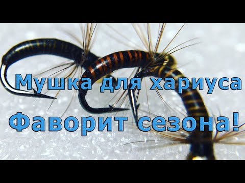 Видео: Мушка для хариуса. ФАВОРИТ сезона! Нестандартный метод