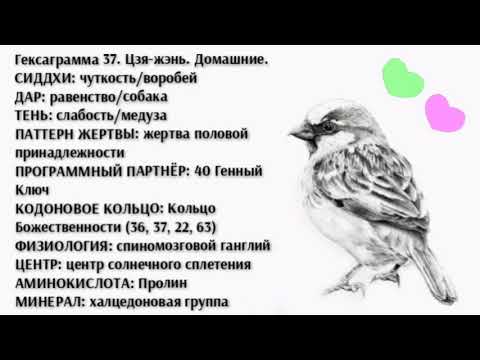 Видео: 37 генный ключ. Сиддхи Чуткости.