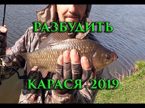 Видео: МОРМЫШИНГ.  РАЗБУДИТЬ КАРАСЯ 2019