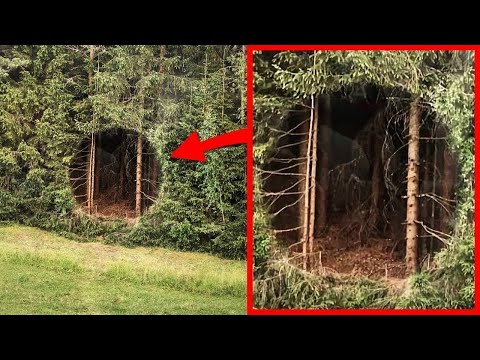 Видео: Тайны, Обнаруженные В Дикой Природе