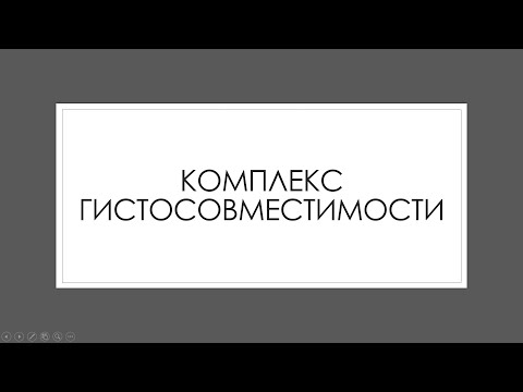 Видео: Иммунная система 5: Главный комплекс гистосовместимости