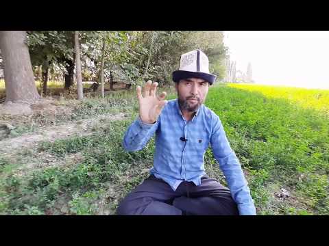 Видео: 🐎Атты кантип суутабыз☝️ ДОСТУК~ЫНТЫМАК командасына  айткан создору🙏 Манас Ниязов