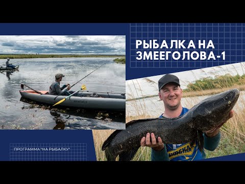 Видео: Змееголов и Змееловля. Часть 1