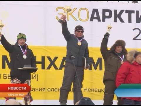 Видео: В Ненецком округе определили самого быстрого оленевода