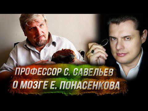 Видео: Профессор С. Савельев о мозге Е. Понасенкова