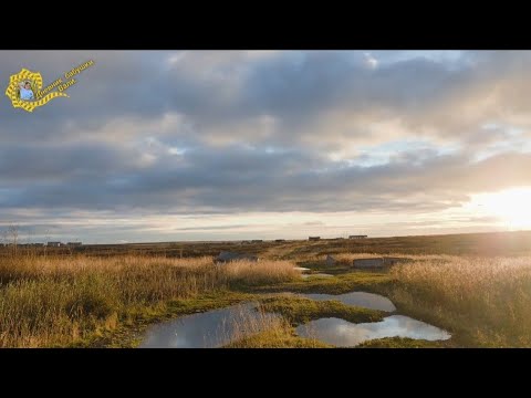 Видео: Гуляем по Воргашору, ул Энтузиастов. 