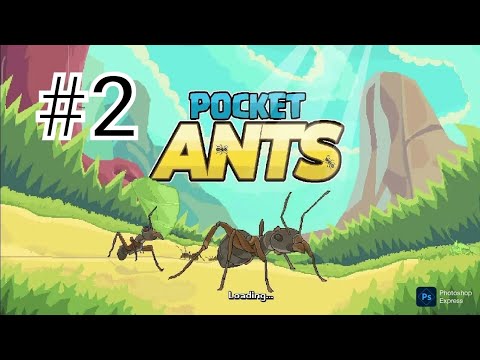 Видео: Покит антс #2