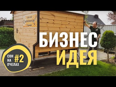 Видео: ЗАКАЖИ ПЧЁЛОК НА ДОМ. БИЗНЕС ИДЕЯ.