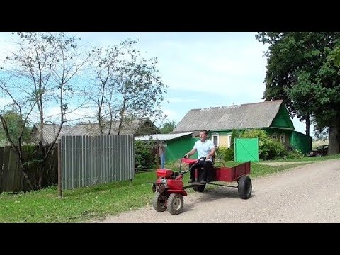 Видео: ЗНАТНЫЙ УРОЖАЙ, ДРОВА БЕСПЛАТНО, МОТОБЛОК и ДЕРЕВНЯ.