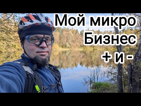 Видео: Мой микро бизнес. Плюсы и минусы работы на себя. 