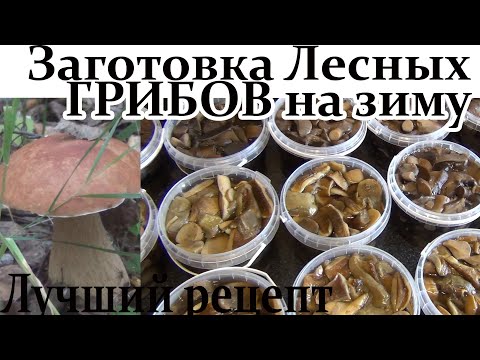 Видео: Лучший рецепт Заготовки Лесных Грибов на зиму