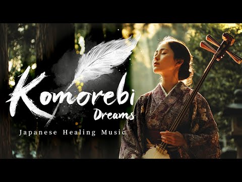 Видео: Komorebi Dreams | Японская целительная музыка для медитации и расслабления | Мировая музыка
