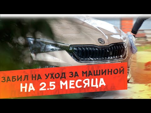Видео: Первая мойка за 3 месяца | Залипательный детейлинг Skoda Rapid
